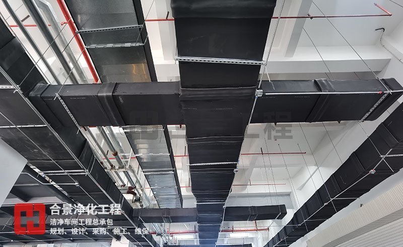 宇皓新型光學(xué)材料無(wú)塵車間廠房